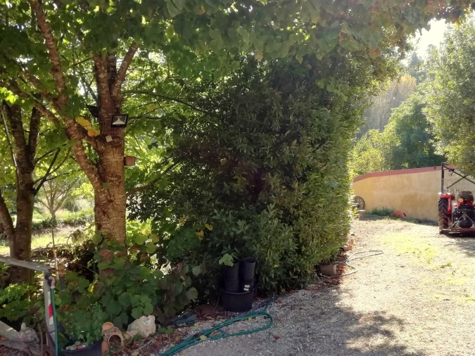 Quinta T5 para Venda em Tavarede Foto 10