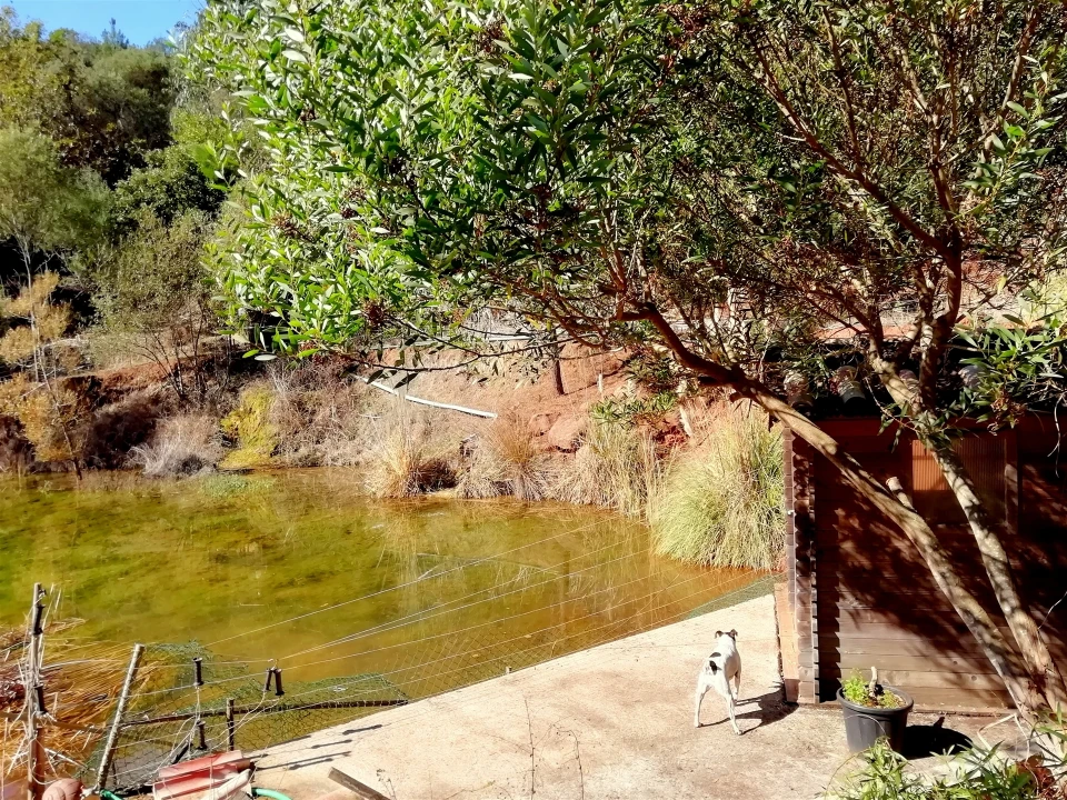 Quinta T5 para Venda em Tavarede Foto 117