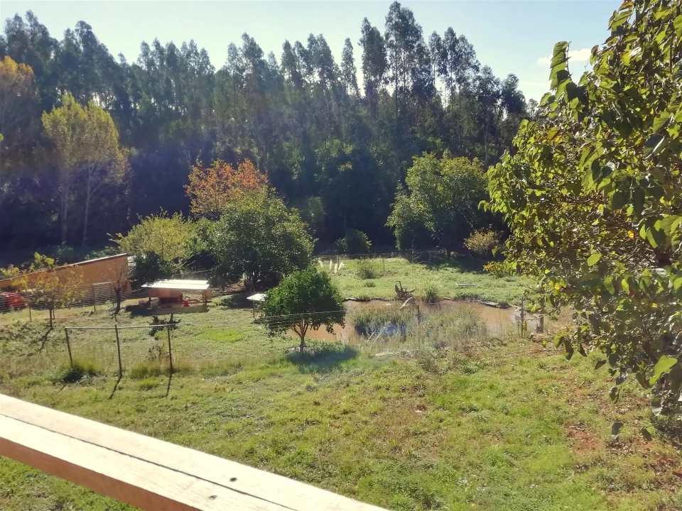 Quinta T5 para Venda em Tavarede Foto 41