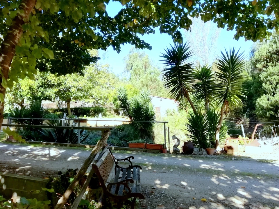 Quinta T5 para Venda em Tavarede Foto 11