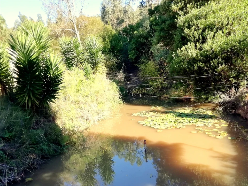 Quinta T5 para Venda em Tavarede Foto 3