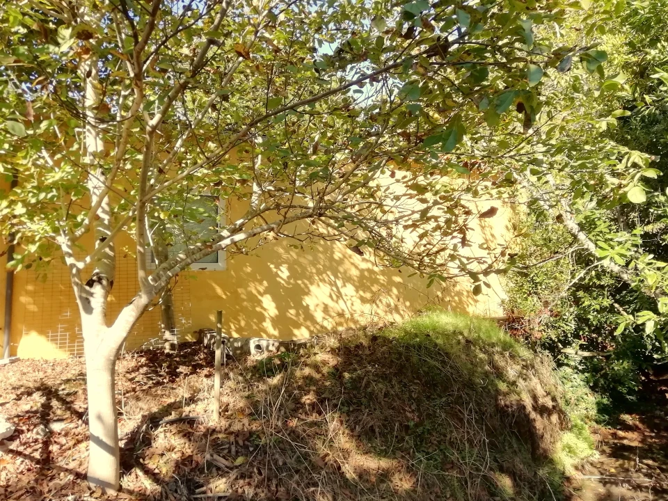 Quinta T5 para Venda em Tavarede Foto 29