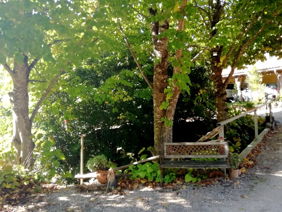 Quinta T5 para Venda em Tavarede Foto 4