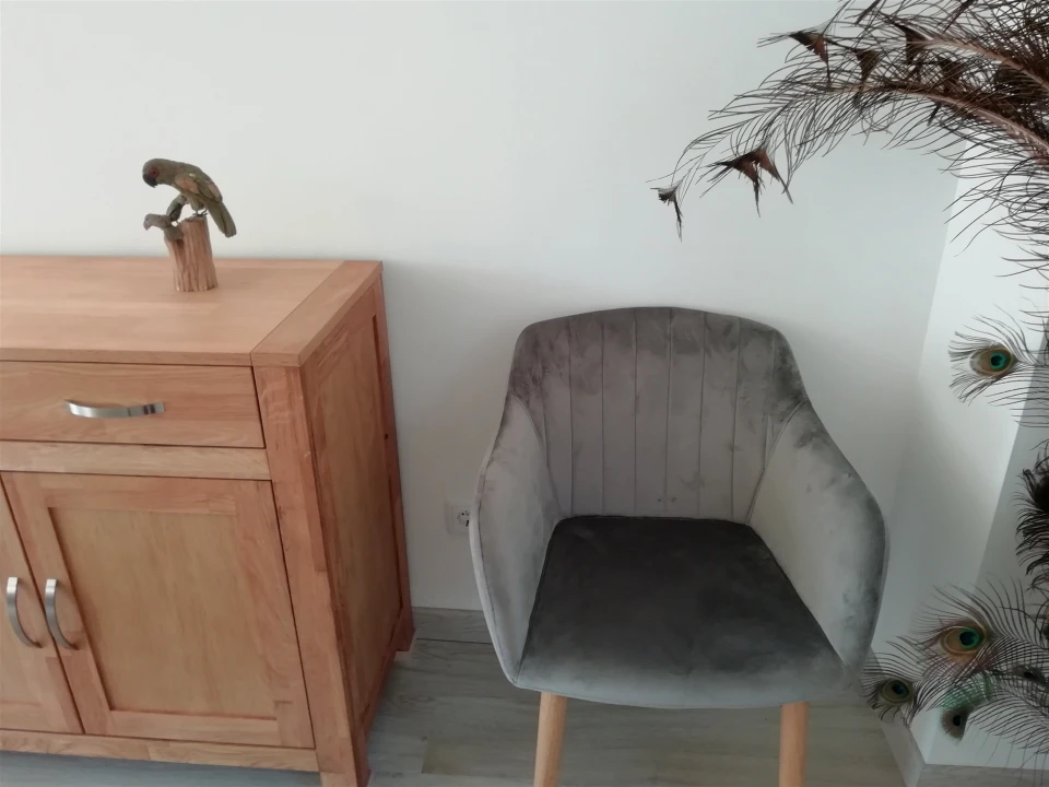 Quinta T5 para Venda em Tavarede Foto 96