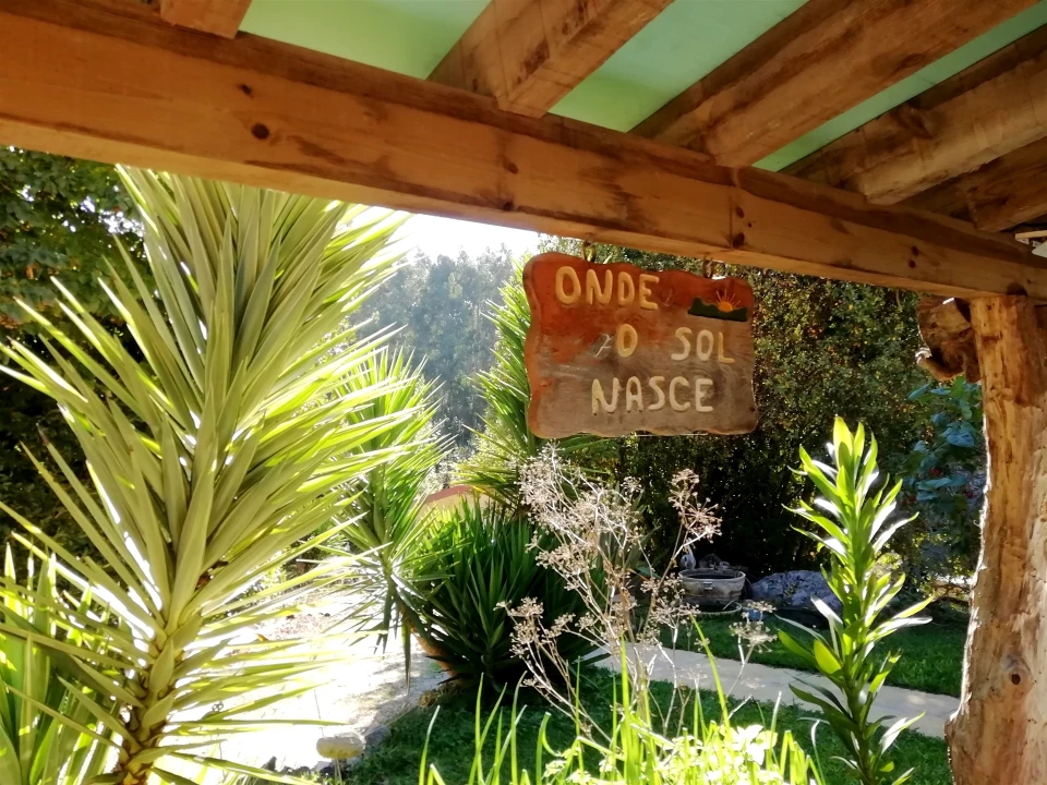 Quinta T5 para Venda em Tavarede Foto 16