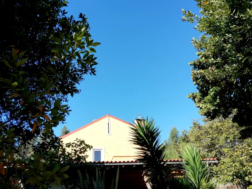 Quinta T5 para Venda em Tavarede Foto 39