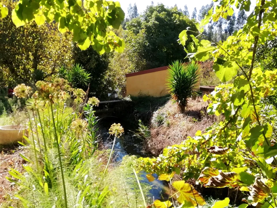 Quinta T5 para Venda em Tavarede Foto 18