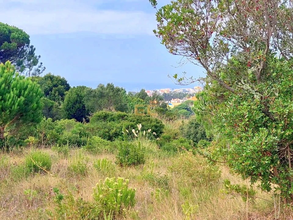 Terreno para Venda em Buarcos Foto 1