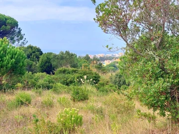 Terreno para Venda em Buarcos