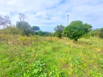Terreno para Venda em Buarcos