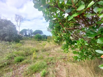 Terreno para Venda em Buarcos