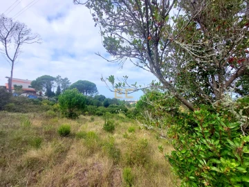 Terreno para Venda em Buarcos