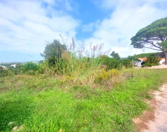 Terreno para Venda em Buarcos