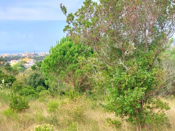 Terreno para Venda em Buarcos