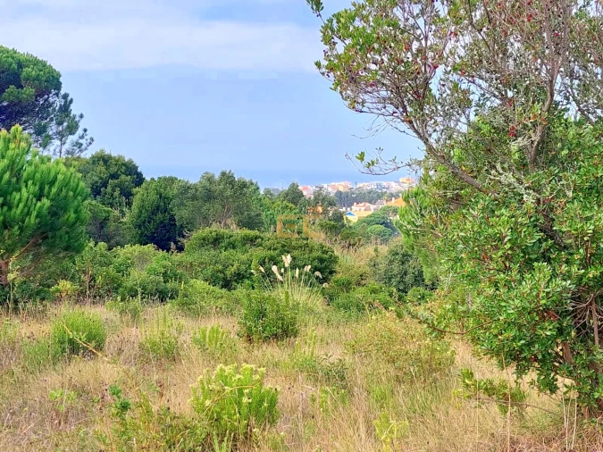 Terreno para Venda em Buarcos