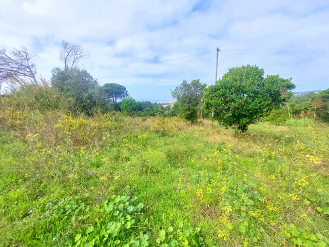 Terreno para Venda em Buarcos Foto 2
