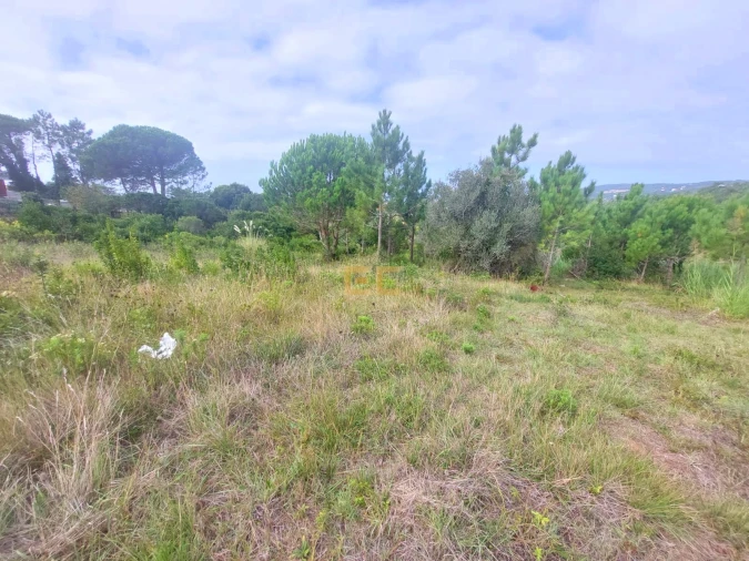 Terreno para Venda em Buarcos Foto 4
