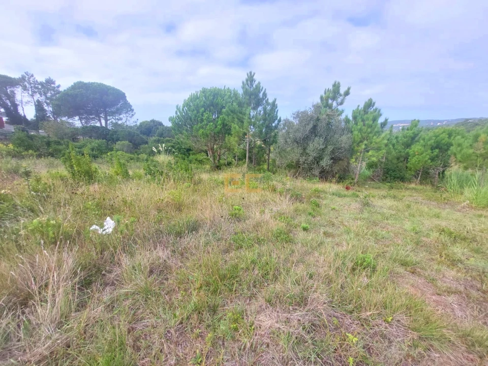 Terreno para Venda em Buarcos Foto 4