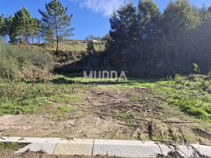 Terreno para Venda em Pinheiro da Bemposta, Travanca e Palmaz Foto 10