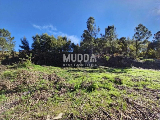 Terreno para Venda em Pinheiro da Bemposta, Travanca e Palmaz Foto 2