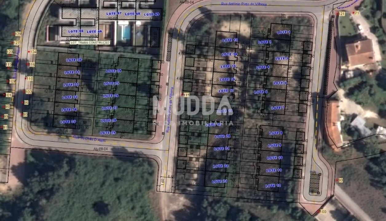 Terreno para Venda em Pinheiro da Bemposta, Travanca e Palmaz Foto 12