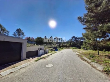 Terreno para Venda em Pinheiro da Bemposta, Travanca e Palmaz