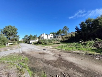 Terreno para Venda em Pinheiro da Bemposta, Travanca e Palmaz