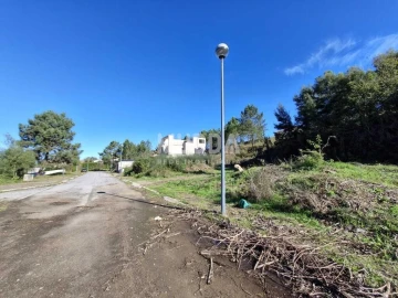 Terreno para Venda em Pinheiro da Bemposta, Travanca e Palmaz