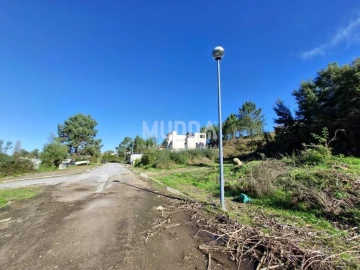 Terreno para Venda em Pinheiro da Bemposta, Travanca e Palmaz