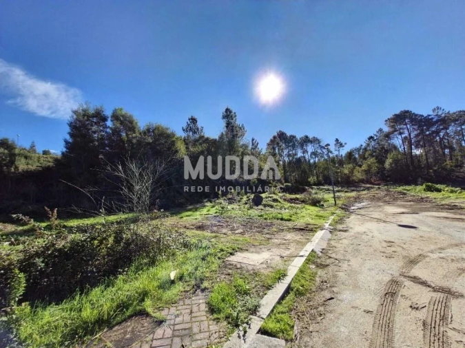 Terreno para Venda em Pinheiro da Bemposta, Travanca e Palmaz Foto 3