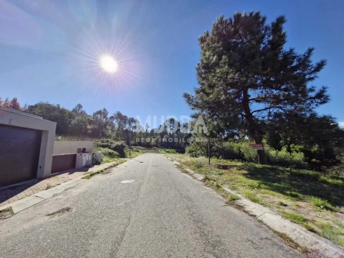 Terreno para Venda em Pinheiro da Bemposta, Travanca e Palmaz Foto 13