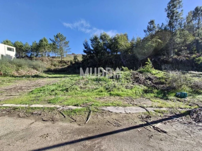 Terreno para Venda em Pinheiro da Bemposta, Travanca e Palmaz Foto 9