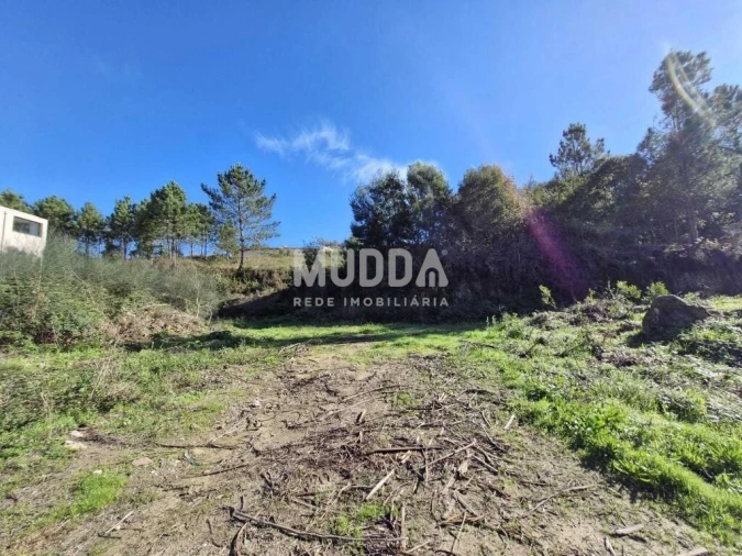 Terreno para Venda em Pinheiro da Bemposta, Travanca e Palmaz Foto 11