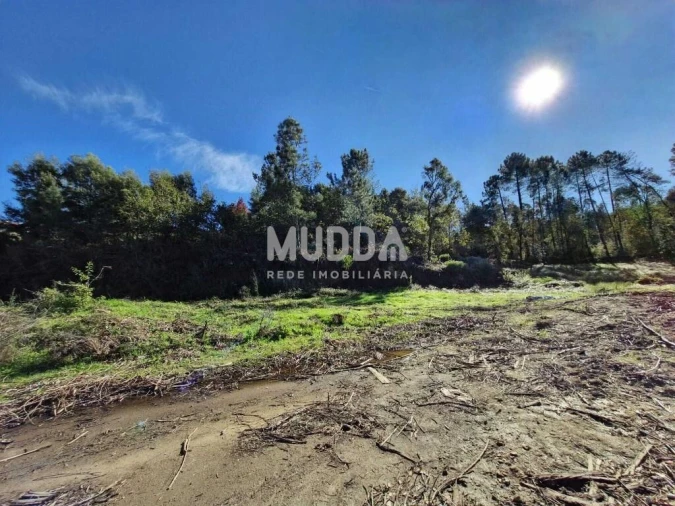 Terreno para Venda em Pinheiro da Bemposta, Travanca e Palmaz Foto 10