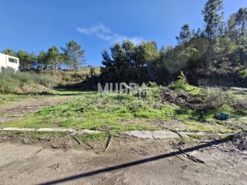 Terreno para Venda em Pinheiro da Bemposta, Travanca e Palmaz
