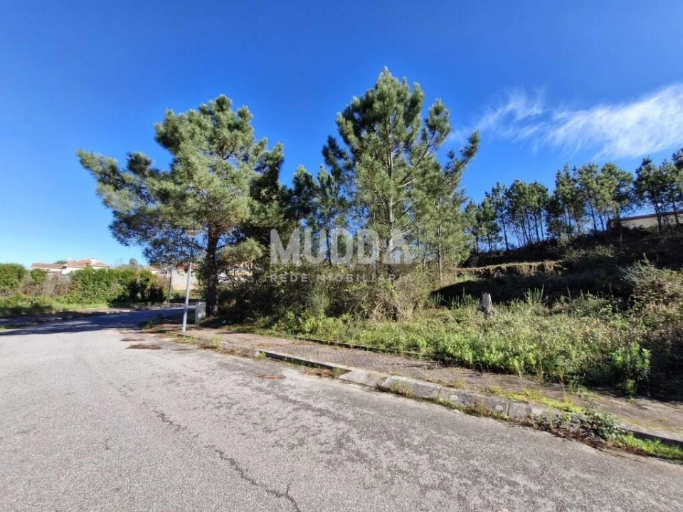 Terreno para Venda em Pinheiro da Bemposta, Travanca e Palmaz Foto 4