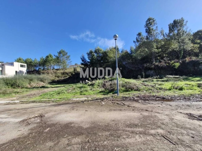 Terreno para Venda em Pinheiro da Bemposta, Travanca e Palmaz Foto 13