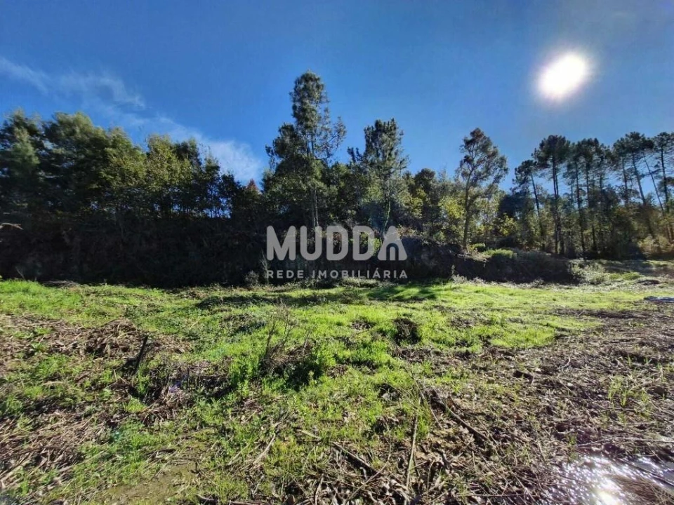 Terreno para Venda em Pinheiro da Bemposta, Travanca e Palmaz Foto 7