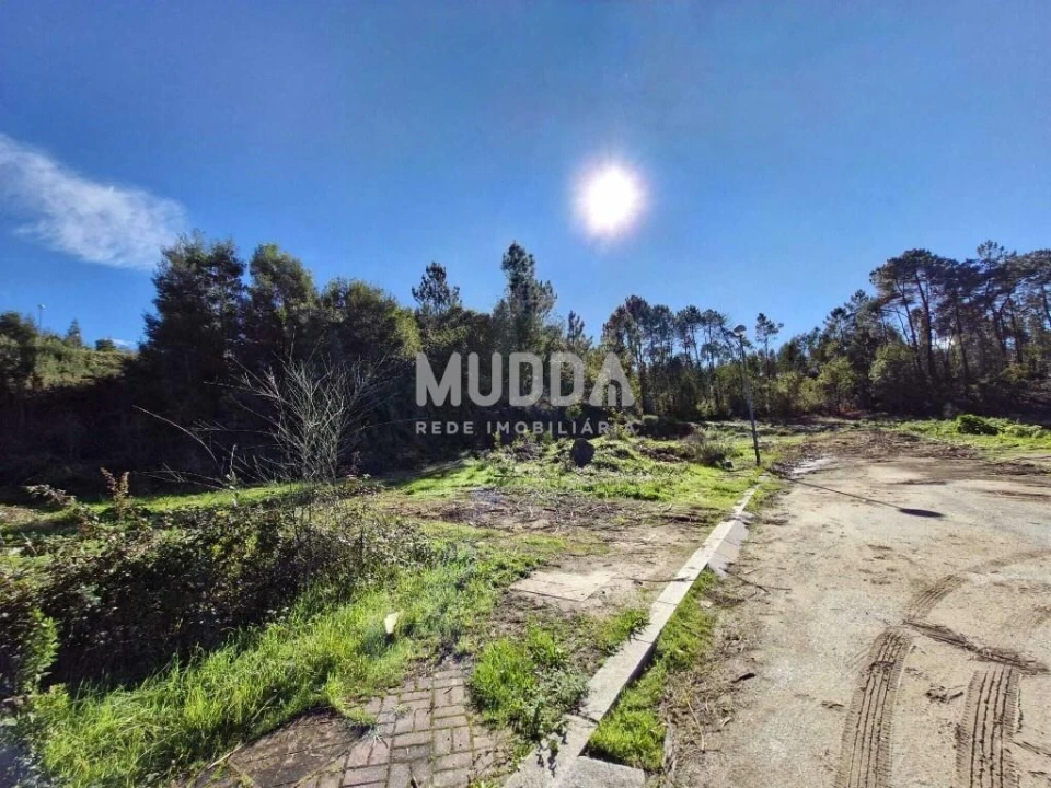 Terreno para Venda em Pinheiro da Bemposta, Travanca e Palmaz Foto 10