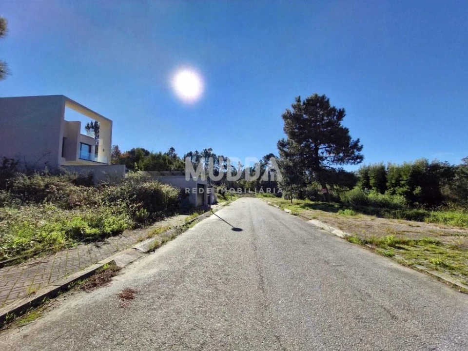 Terreno para Venda em Pinheiro da Bemposta, Travanca e Palmaz Foto 3