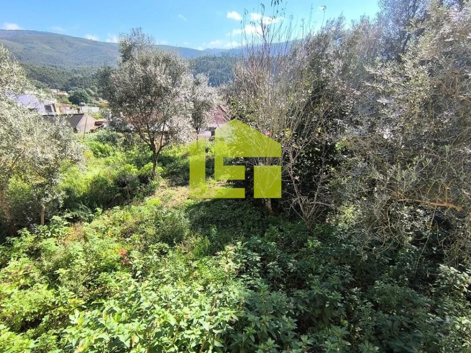 Moradia T4 para Venda em Serpins Foto 8