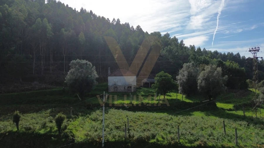 Terreno para Venda em Cabração e Moreira do Lima Foto 7