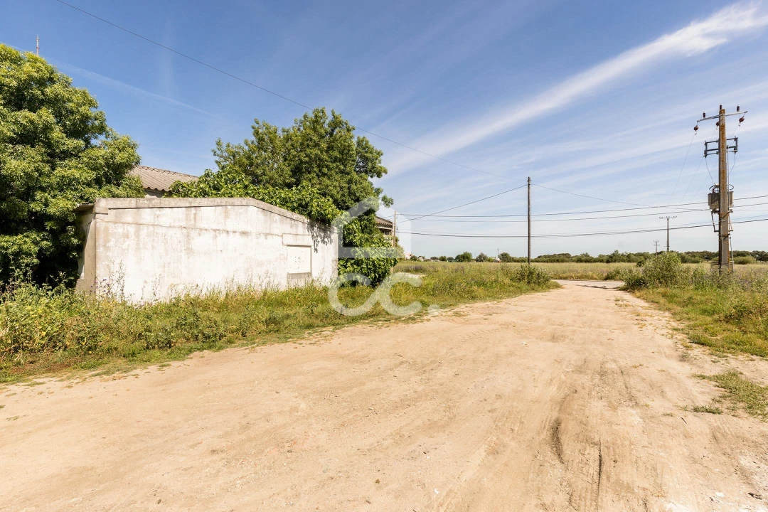 Armazém para Venda em Canaviais Foto 7