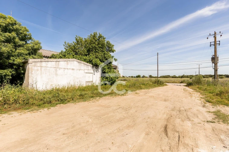 Armazém para Venda em Canaviais Foto 7