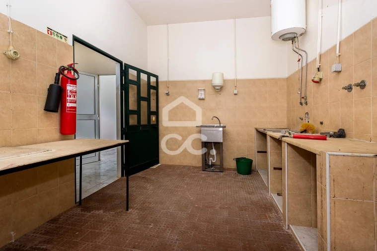 Negócio para Venda em Pavia Foto 7