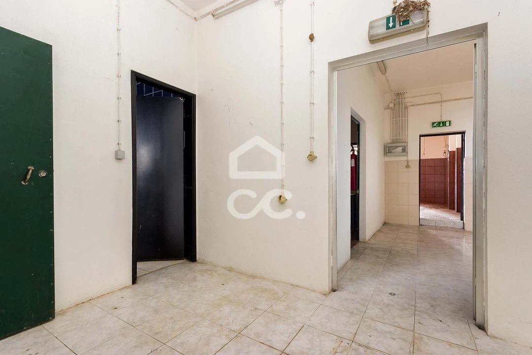 Negócio para Venda em Pavia Foto 12