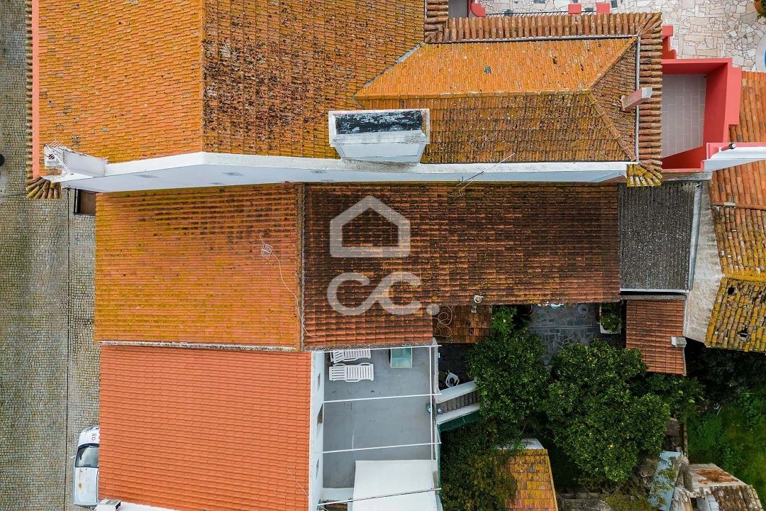 Negócio para Venda em Pavia Foto 19