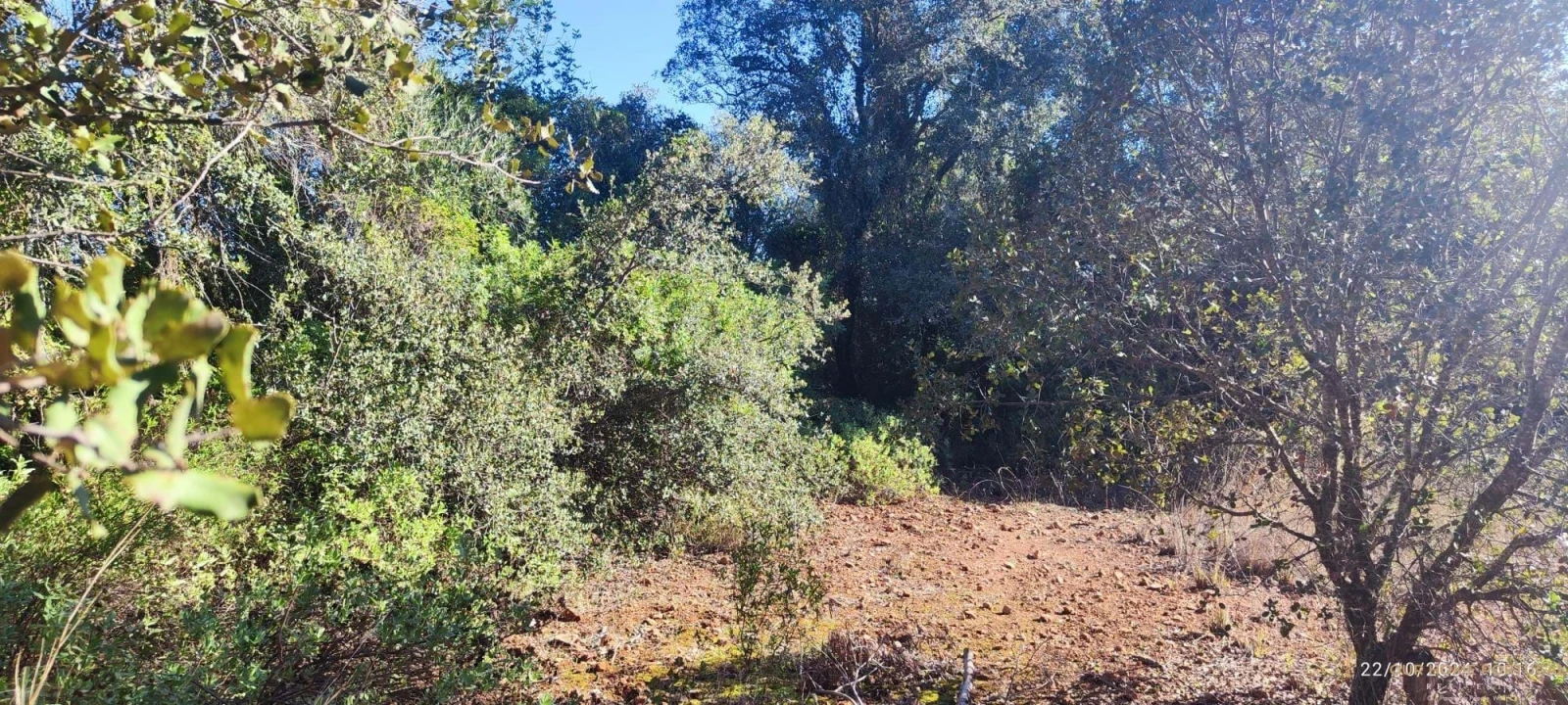 Terreno para Venda em Salir Foto 5