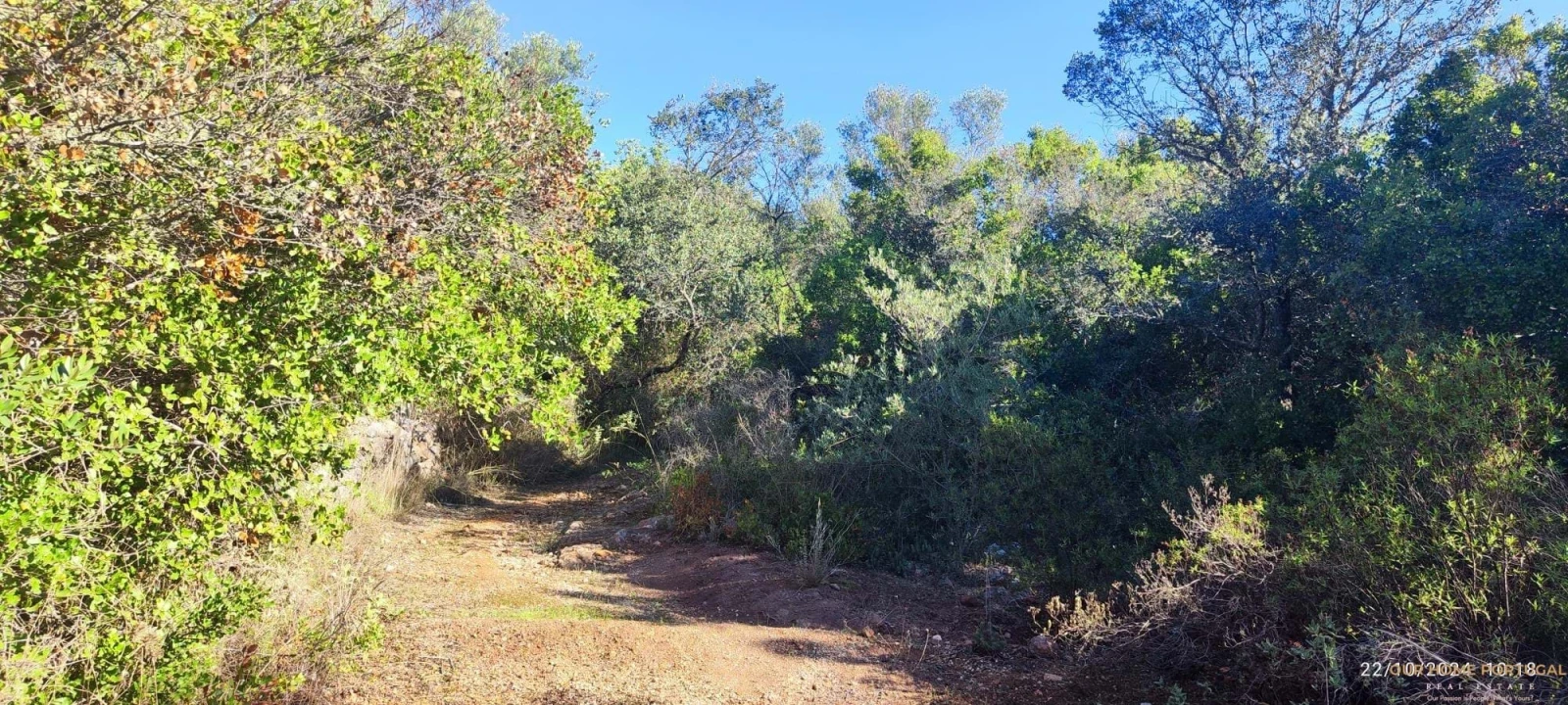 Terreno para Venda em Salir Foto 2