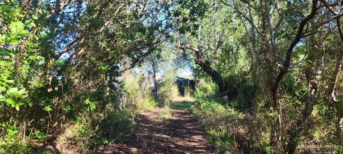 Terreno para Venda em Salir Foto 1